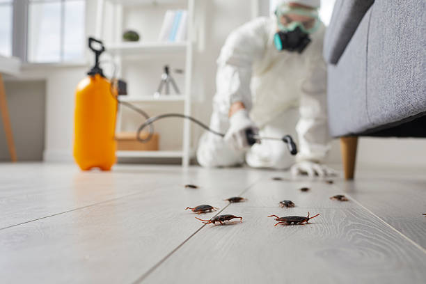 Commercial Kitchen Cockroach Control in Janesville